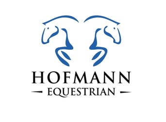 German Sport Horse, Mare, 8 years, 16,3 hh, Grey