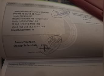 Hafliger, Ogier, 3 lat