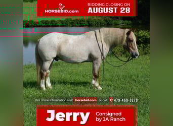 Haflinger, Hongre, 10 Ans, 142 cm, Rouan Rouge