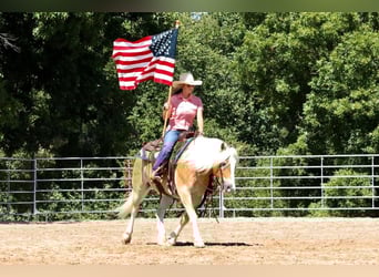 Haflinger, Hongre, 5 Ans, 140 cm, Alezan cuivré