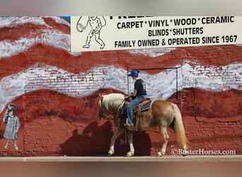 Haflinger, Mare, 10 years, 14 hh, Chestnut