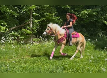 Haflinger, Mare, 3 years, 14.2 hh, Chestnut-Red