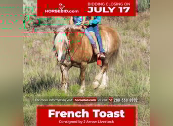 Haflinger Mix, Ruin, 13 Jaar, 137 cm, Roodvos