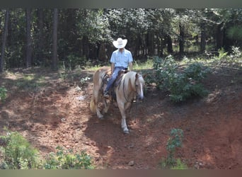 Haflinger, Sto, 12 år, 142 cm, Palomino