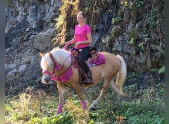 Haflinger, Stute, 11 Jahre, 142 cm, Fuchs
