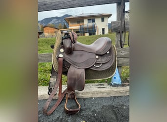 Haflinger, Stute, 16 Jahre, 150 cm, Champagne