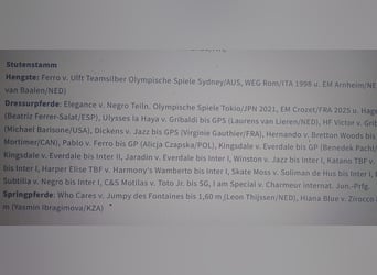 Hannover, Giumenta, 10 Anni, 170 cm, Sauro