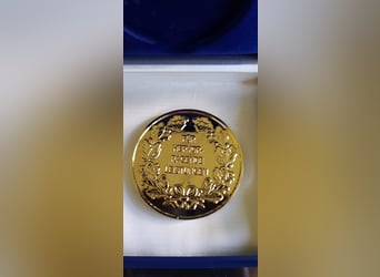 Hannoveraan, Merrie, 4 Jaar, 170 cm, Donkere-vos