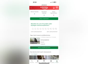 Hannoveraner, Hengst, 3 Jahre, 170 cm, Rappe