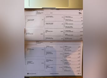 Hannoveraner, Stute, 5 Jahre, 165 cm, Dunkelbrauner