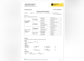 Hannoveraner, Stute, 6 Jahre, 174 cm, Schwarzbrauner
