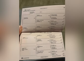 Hannoveraner, Stute, 9 Jahre, 180 cm, Rappe