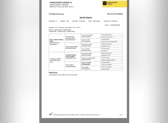 Hannoveraner, Stute, Fohlen (01/2025)