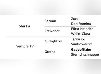 Hannoveraner, Wallach, 3 Jahre, 175 cm, Fuchs