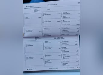 Hannoveraner, Wallach, 6 Jahre, 172 cm, Dunkelbrauner