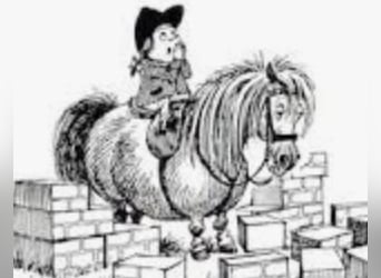 Hannoveraner, Wallach, 6 Jahre, Rappe