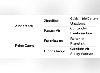 Hannoveriano, Yegua, 4 años, 164 cm, Alazán