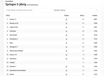 Hanoverian, Mare, 3 years, 16.1 hh, Chestnut-Red Hanoverian, Mare, 3 years, 16.1 hh, Chestnut-Red