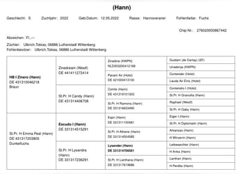 Hanoverian, Mare, 4 years, 16,1 hh, Chestnut-Red