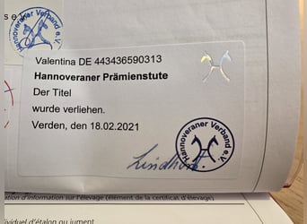 Hanovrien, Jument, 13 Ans, 173 cm, Alezan