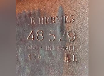 Hanovrien, Jument, 4 Ans, 163 cm, Bai brun