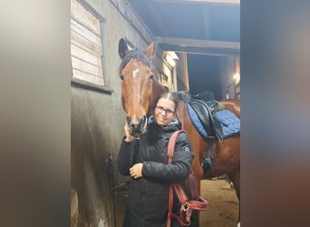 Hey! Ich suche ine RB besstenfalls mit Weiterentwicklungsmöglichkeit im springen.