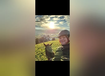 Hoi zäme, ich bin auf der suche nach einer Reitbeteiligung.