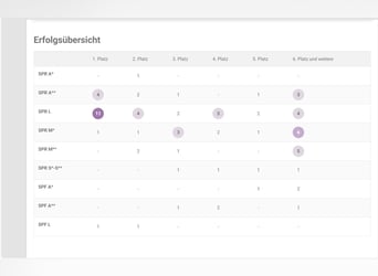 Holstein, Castrone, 12 Anni, 168 cm, Sauro scuro