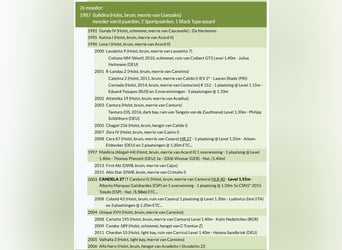 Holstein, Sconosciuto, Embrione