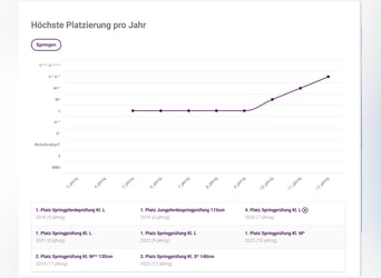 Holstein, Gelding, 12 years, 16.1 hh, Chestnut