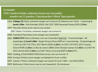 Holsteiner, Onbekend, Embryo