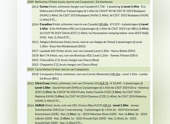 Holsteiner, Inconnu, Embryon