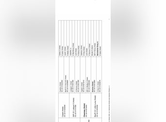 Holsteiner, Jument, 1 Année, 172 cm, Bai