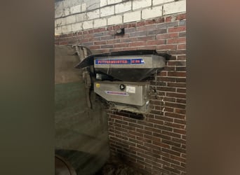 Holsteiner, Merrie, 4 Jaar, 166 cm, Blauwschimmel