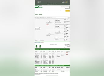 Holsteiner, Stute, 11 Jahre, 172 cm, Schimmel