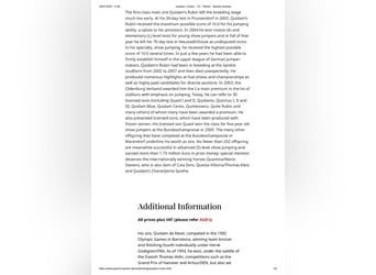 Holsteiner Mix, Wallach, 5 Jahre, 164 cm, Schimmel