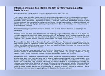 Holsteiner Mix, Wallach, 5 Jahre, 164 cm