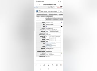 Icelandic Horse, Mare, 9 years, 13.3 hh, Brown