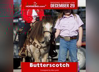 Inne kuce/małe konie, Klacz, 9 lat, 97 cm, Jelenia