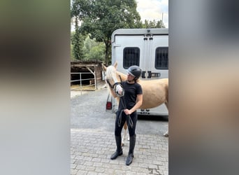 Junge Reiterin sucht Sportpartner 