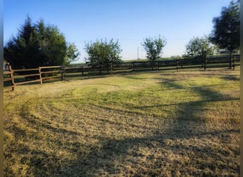 Lovely Equestrian property in Italy  