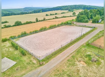 Reitanlage mit Panoramablick in Battenberg (Pfalz) – Einmalige Alleinlage !