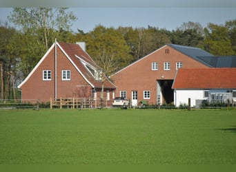 Traumhafte Reitanlage in Bestlage nähe Vechta !