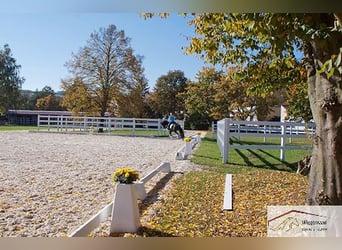 Wunderschönes  Anwesen mit Reithalle und Event-Location Umfeld Mainz