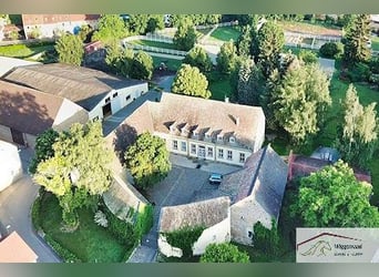 Wunderschönes  Anwesen mit Reithalle und Event-Location Umfeld Mainz