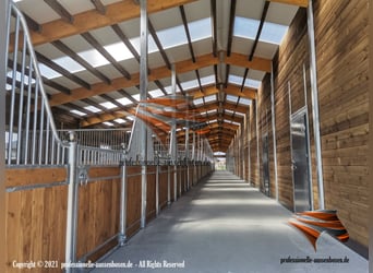 Aussenbox, Pferdestall bauen, Pferdebox, Offenstall bauen, Unterstand, Stallungen, Stall bauen,