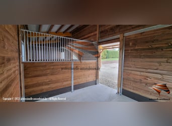 Aussenbox, Pferdestall bauen, Pferdebox, Offenstall bauen, Unterstand, Stallungen, Stall bauen,