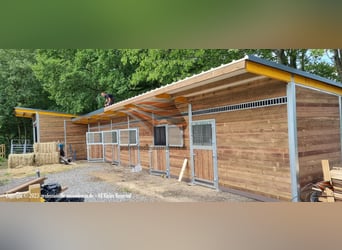 Aussenbox, Pferdestall bauen, Pferdebox, Weidehütte pferd, Offenstall kaufen, Stall bauen, Heuraufe,