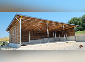 Aussenbox, Pferdestall, Pferdebox, Weidehütte, Offenstall, Stall bauen, Stallungen, Paddockbox,