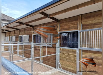 Aussenbox, Pferdestall, Pferdebox, Weidehütte, Offenstall, Stall bauen, Stallungen, Paddockbox,